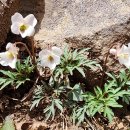 남해-192 이미지