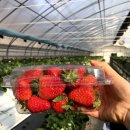 부창농장 이미지