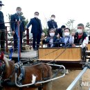 영천시운주산승마조련센터 이미지