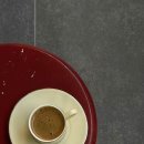 줌커피 Daum카페