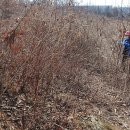 대곶남로 이미지