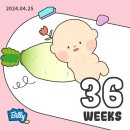 별내세탁백화점 | 임신 일기ㅣ임신 막달 기록