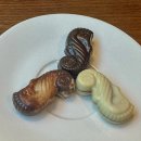 NR-48[김포대로]-하-48 | ~Jun. 홀로 빛을 내는 저 반딧불처럼