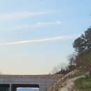 효양고등학교 앞 이미지