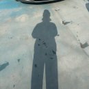 골드박카스노래연습장 | 2월 일상: 아니요? 전 여기 뼈를 묻을 거예요