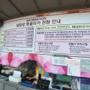 태화강동굴피아 화장실 이미지