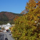 새구봉천 이미지