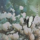 햇빛세탁소 이미지