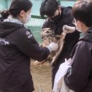 화천동물병원 이미지