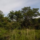 남원읍-21 이미지