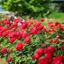 남산근린공원_R 이미지