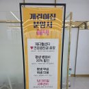 꼬마애견샵 | 전주 서원로 개린이집 분양 후기 – 반달이와 시작한 새로운 가족 이야기