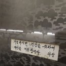 플루800원호