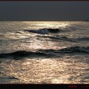 한섬해변 이미지