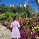주식회사 정원투어여행사 | 천안 여행코스 빵지순례 화수목정원 신정호 달빛누리교 로망스투어