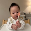 주식회사 리코 | 초기 이유식 준비물 총정리✨(추천/비추천템)