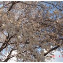 청려수련원 이미지