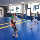 나토얀태권도장 이미지