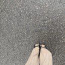 도미노피자의정부가능점 이미지