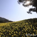 지리산 이미지