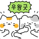 더까까주까 셀프편의점 24