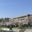 팬도로시수원