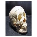 (주)진산메디칼 이미지