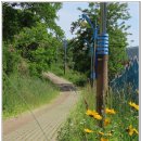 갈맷길 5코스 5-1구간 이미지