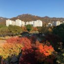 도봉한신아파트 네이버블로그
