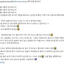 솔레나 타로 | 귀여운 로이 후기예요 ! : 애니멀커뮤니케이션 애니멀커뮤니케이터 펫타로 하랑