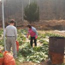 호성농장 이미지