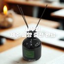 아주 소나무향기태권도 | 제주사려니숲 향기로 채운 사무실 다이소 디퓨저 솔직 후기