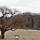 청송슬로씨티