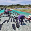 회진면행정복지센터 이미지