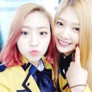 러브발렌타인 이미지