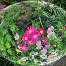 경상감영공원 이미지