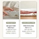 코넷 | 🧺에콘드 낮잠이불 :: 코넷 낮잠이불 일체형 세트 추천 (어린이집 준비물)