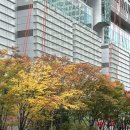 유빌리지1차 이미지