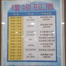대영 스포렉스 이미지