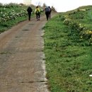 힐링올레 이미지