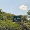 22 | 충남 예산 스노우라인 캠핑빌리지 ｜ 내돈내산 프리미엄존 22번 2박3일 솔직 후기