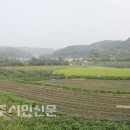 상망삼거리 이미지