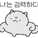 케이 레슬링 네이버블로그