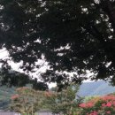 숲제면소 이미지