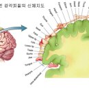 창의 보드게임 이미지