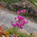 오리만찬 이미지