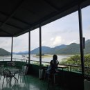 1097 | 충주 여행 충주호 뷰가 기가막힌 애견동반 가능한 카페1097 후기