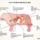우리집다음에맛있는집 양평해장국 이미지