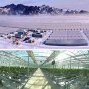 경성농장 이미지