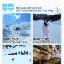 울진농협금강송면지점 | 2026년 1월 추천 국내 여행지 BEST 10 (+축